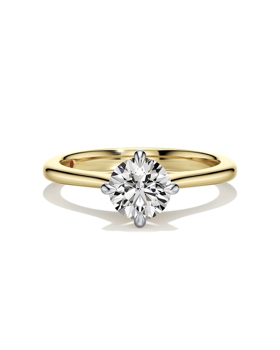 Aiming Higher Ring