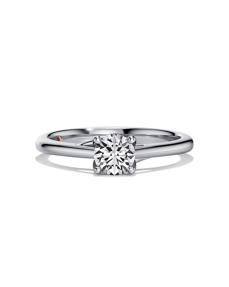 Setting New Standards Ring