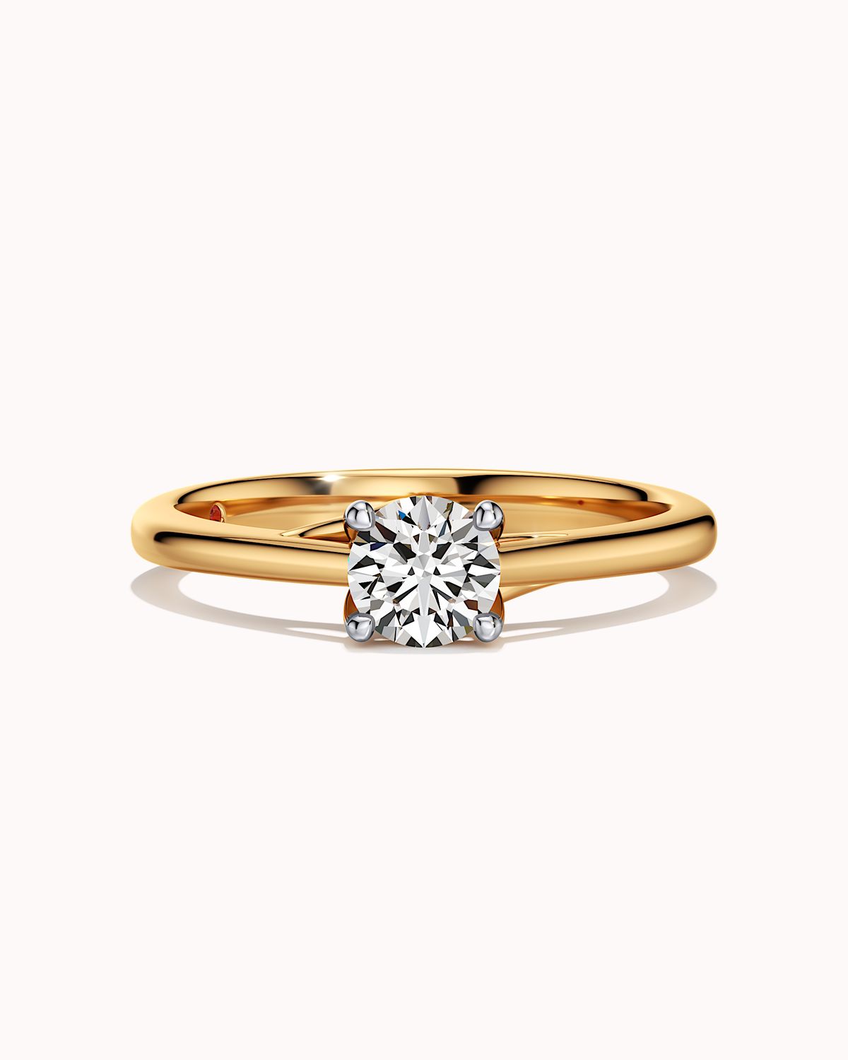Setting New Standards Ring