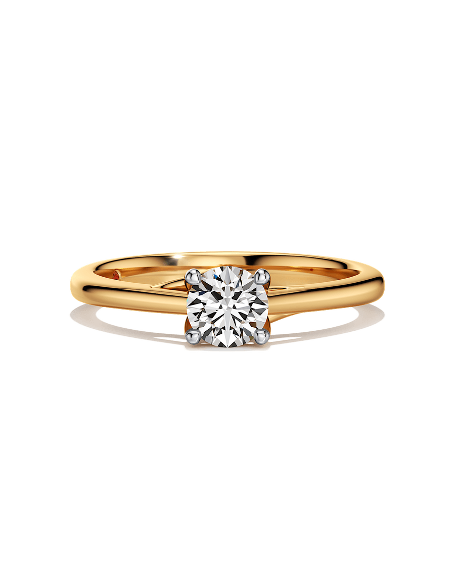 Setting New Standards Ring