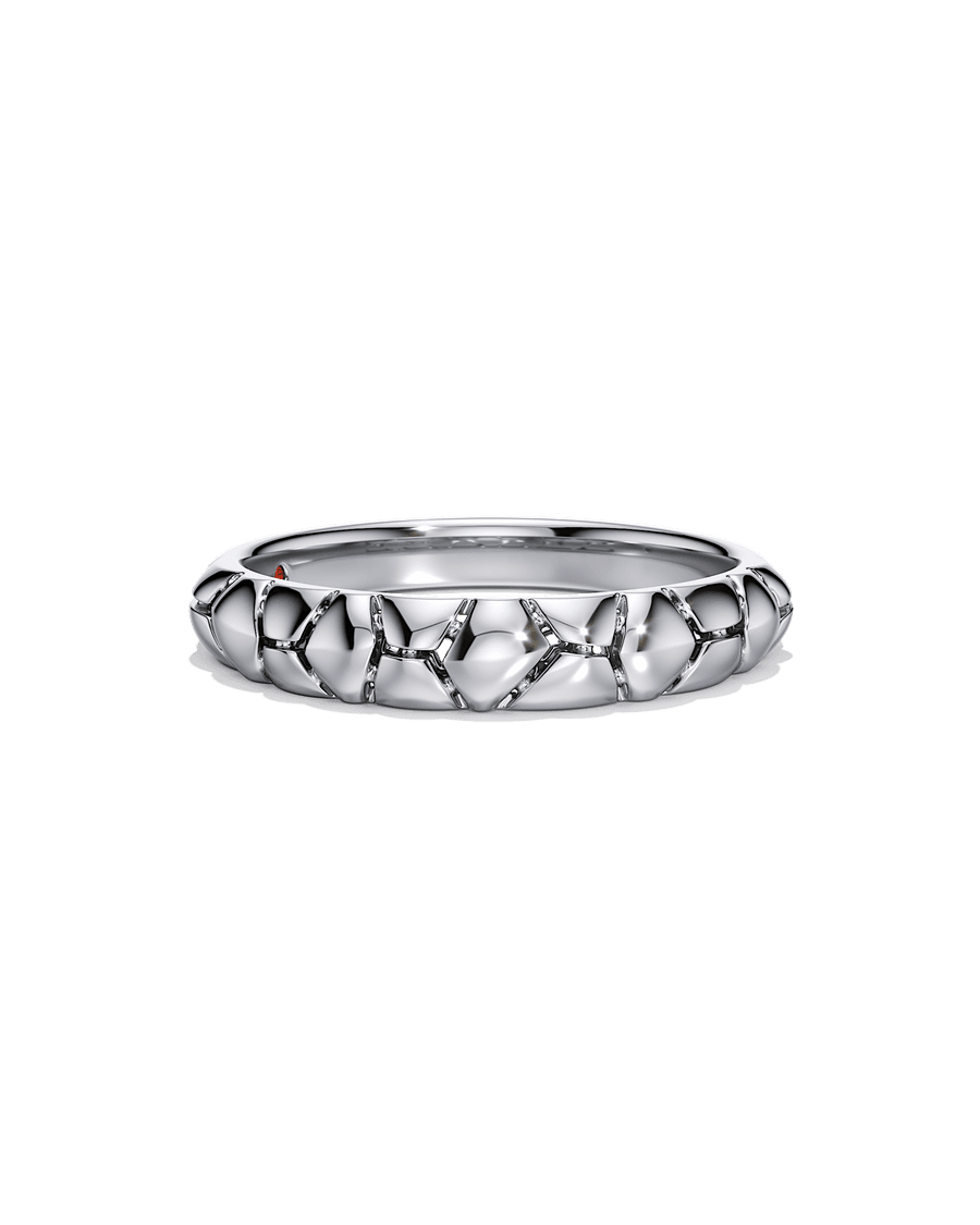 The Bigger Picture Ring