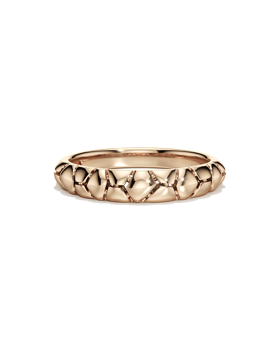 The Bigger Picture Ring