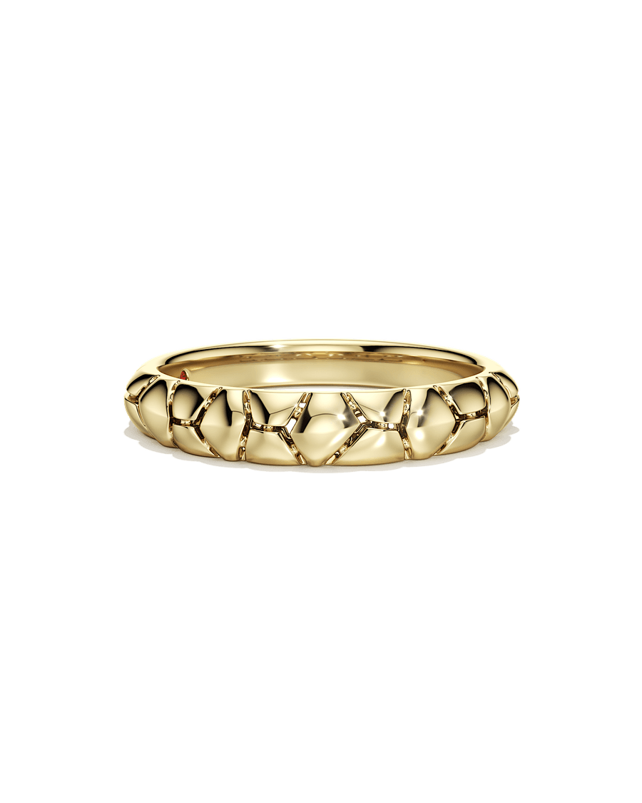 The Bigger Picture Ring