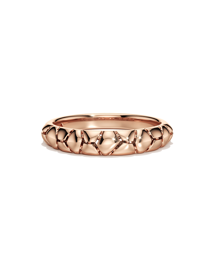 The Bigger Picture Ring