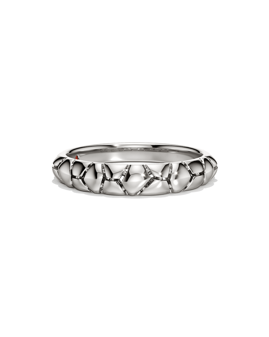 The Bigger Picture Ring