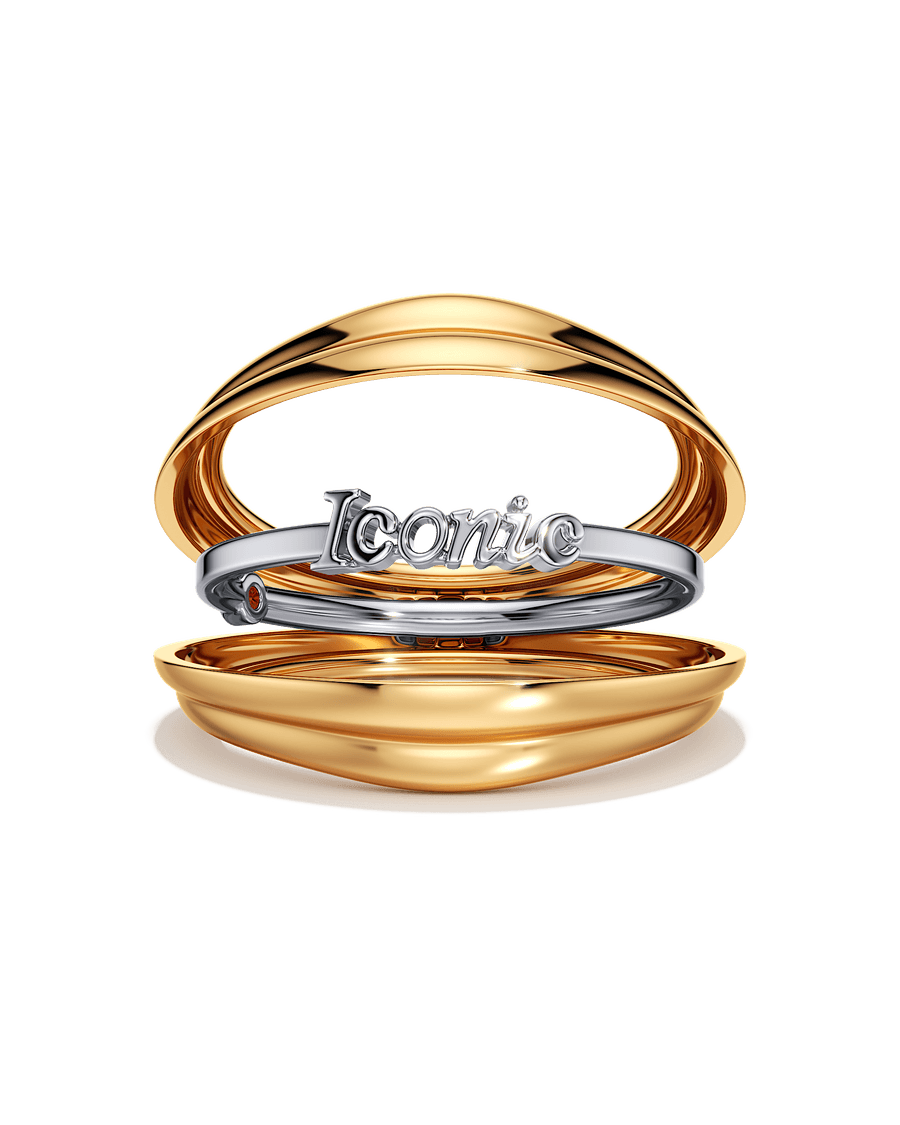 Hidden Icon Ring