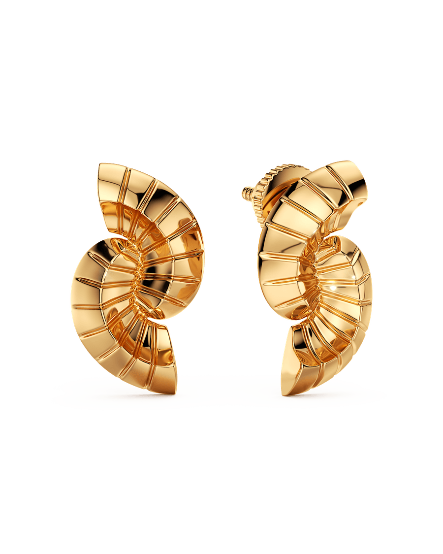 Wind Swept Spiral Earrings