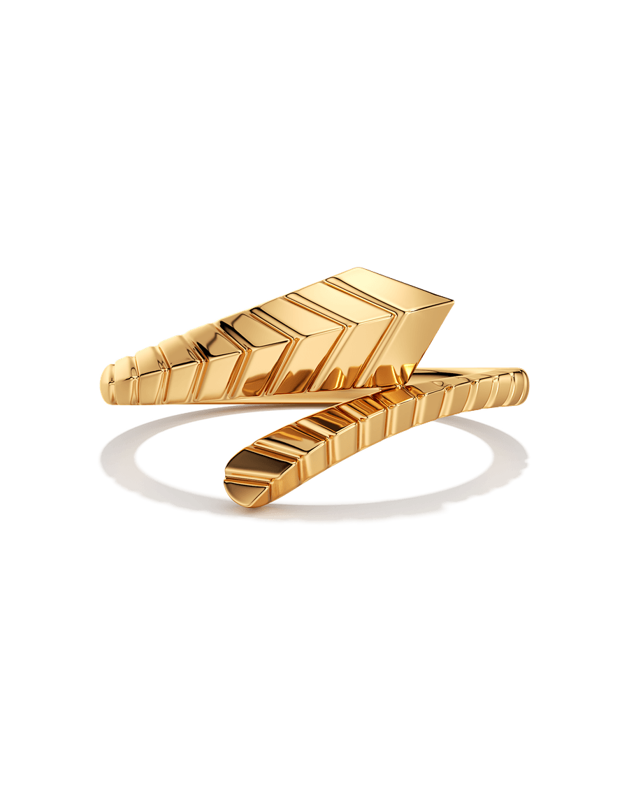 Wrapped In Wonder Ring