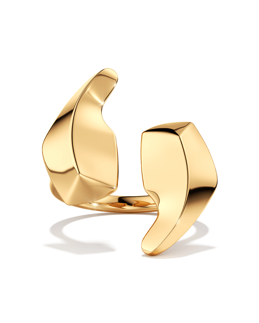 I've Made My Point Ring