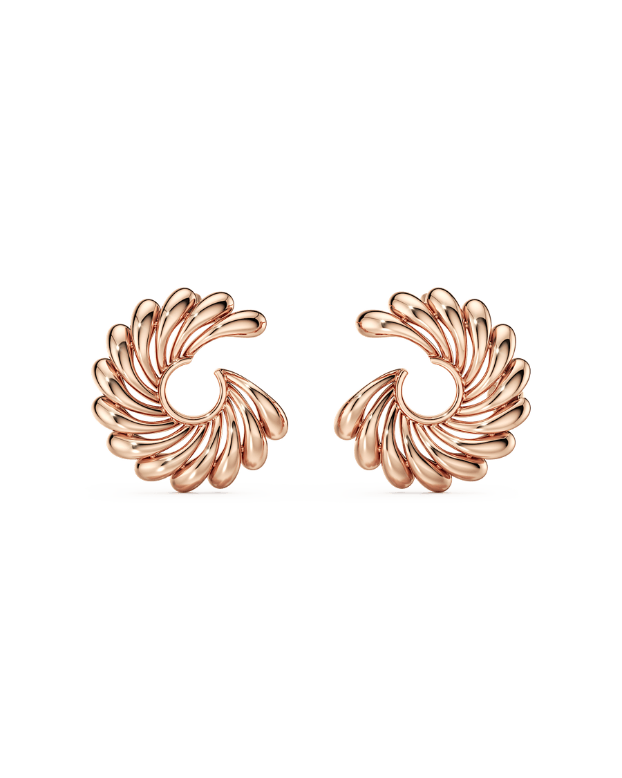 Chasing The Wind Earrings