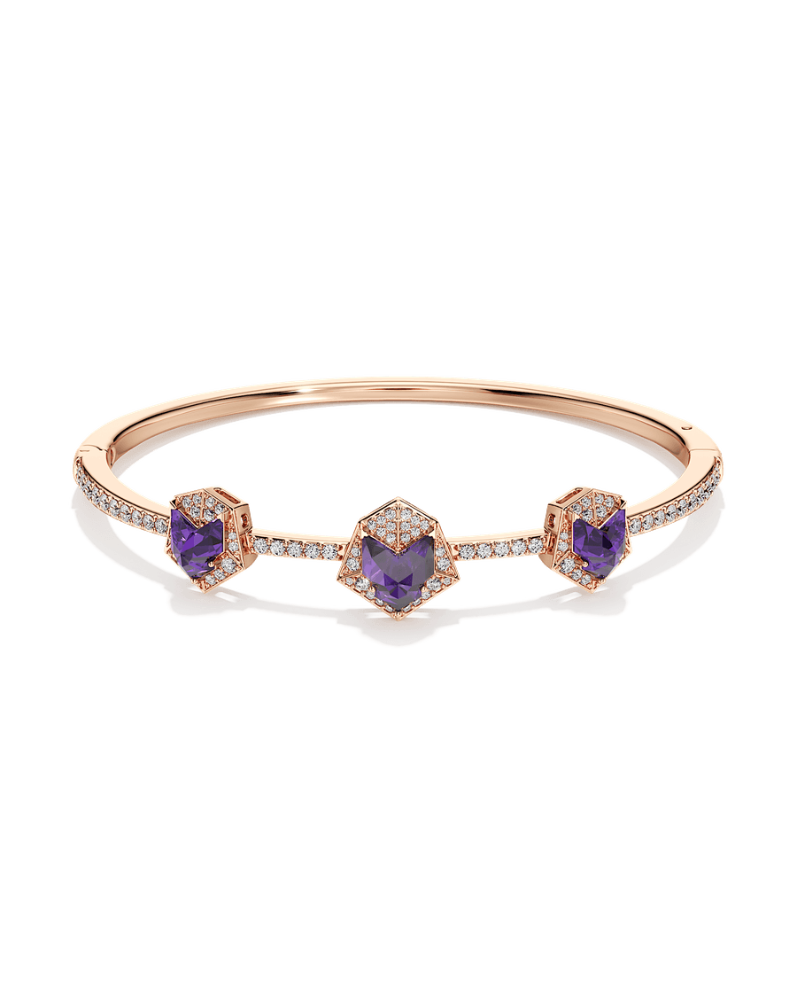 Wandering in the Wild Bangle