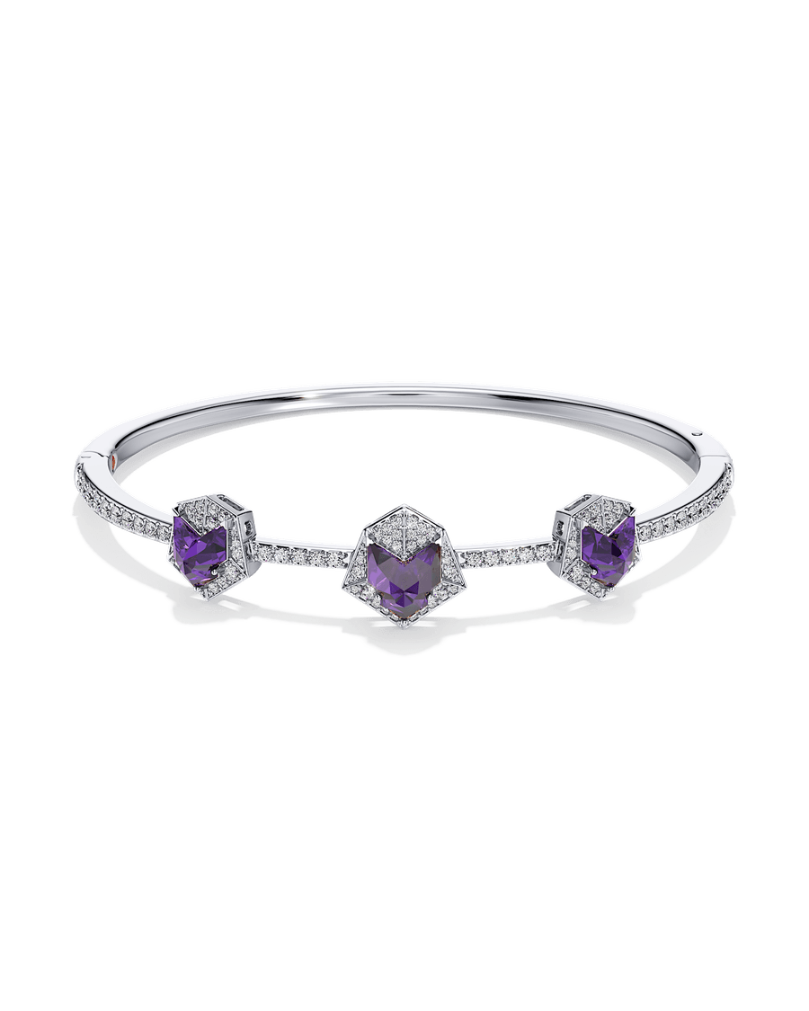 Wandering in the Wild Bangle