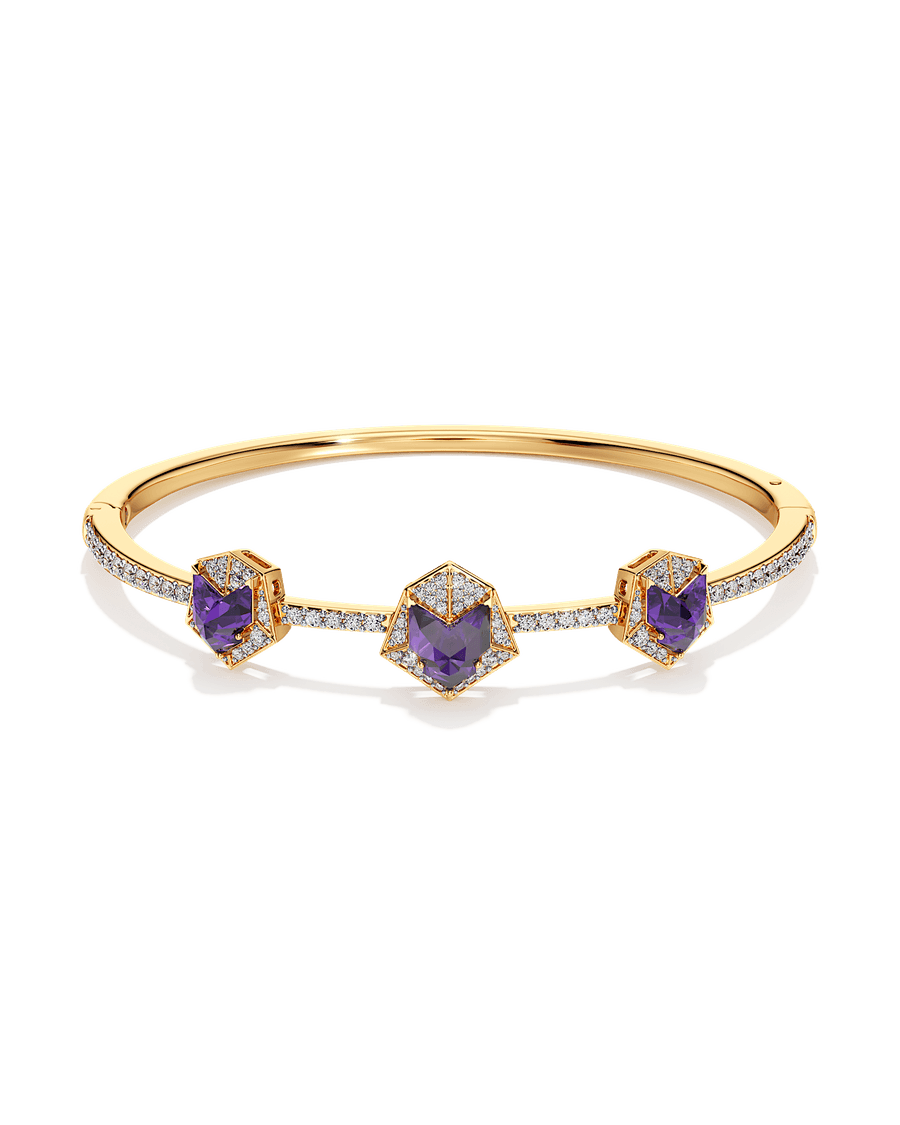 Wandering in the Wild Bangle