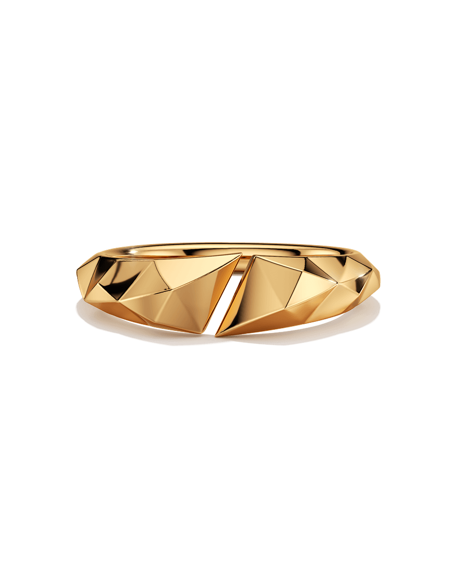 Fractured Wings Ring