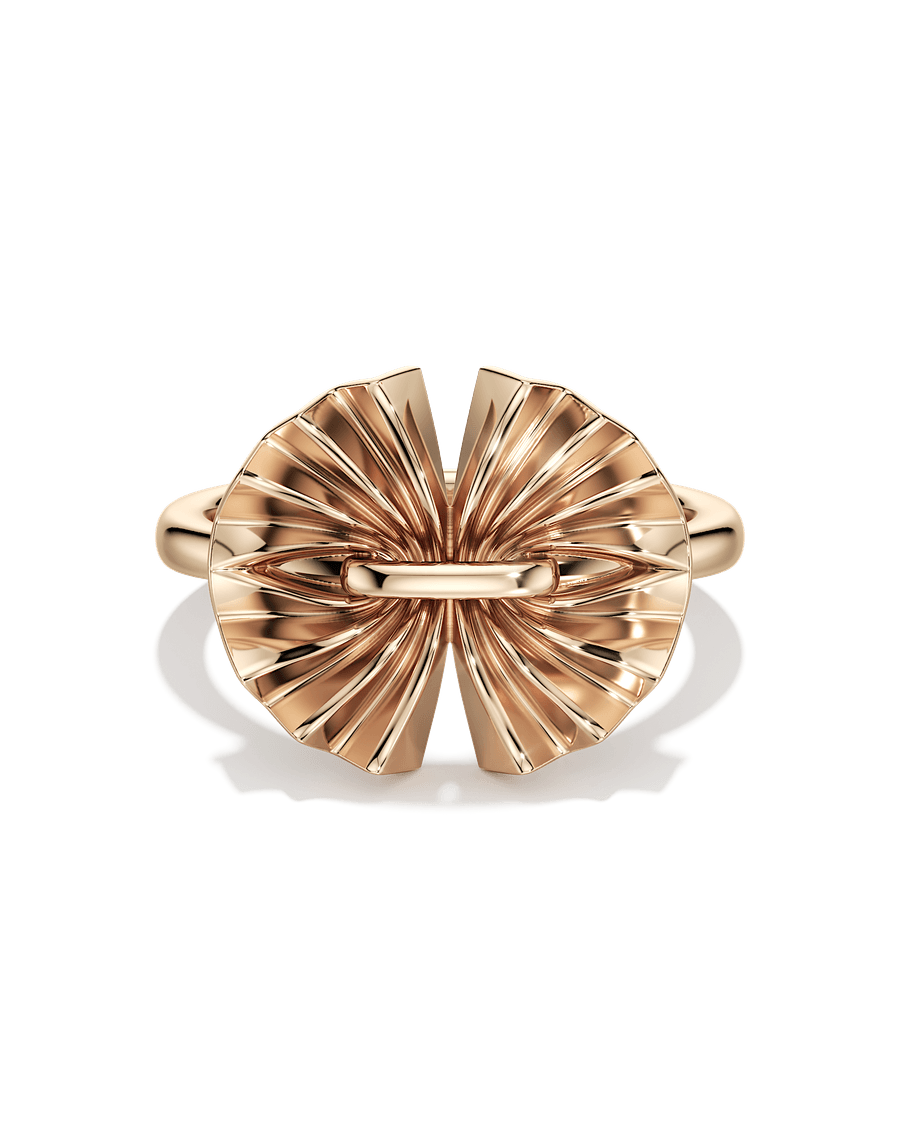 Fan Flare Motion Ring