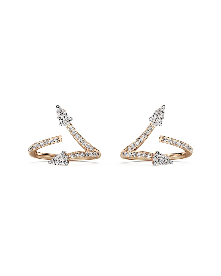 Twice As Nice Earrings