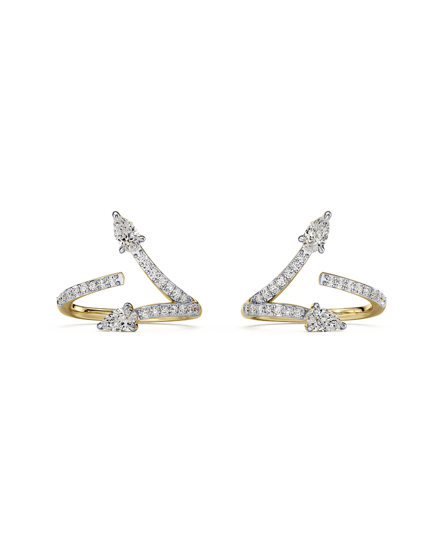 Twice As Nice Earrings
