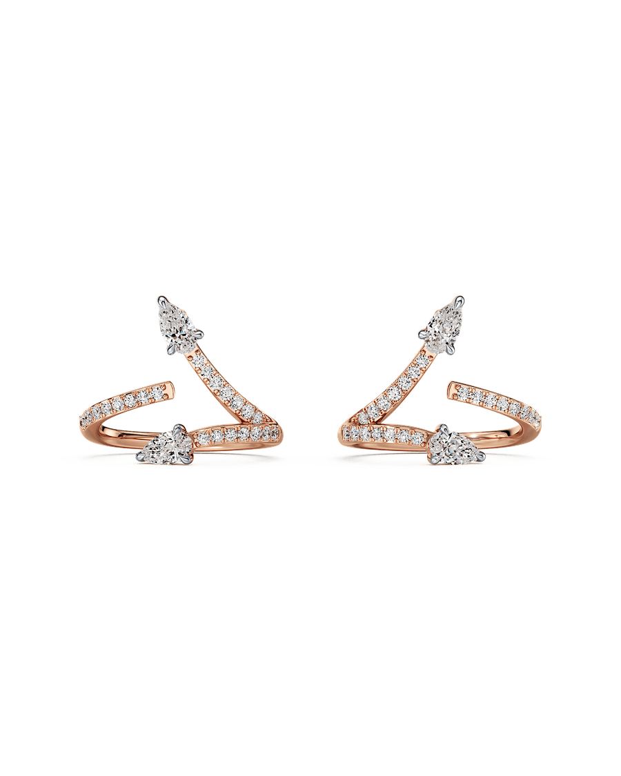 Twice As Nice Earrings