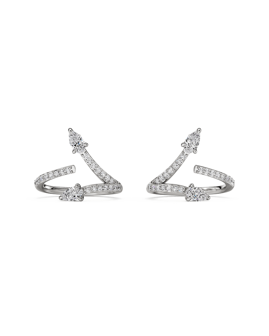 Twice As Nice Earrings