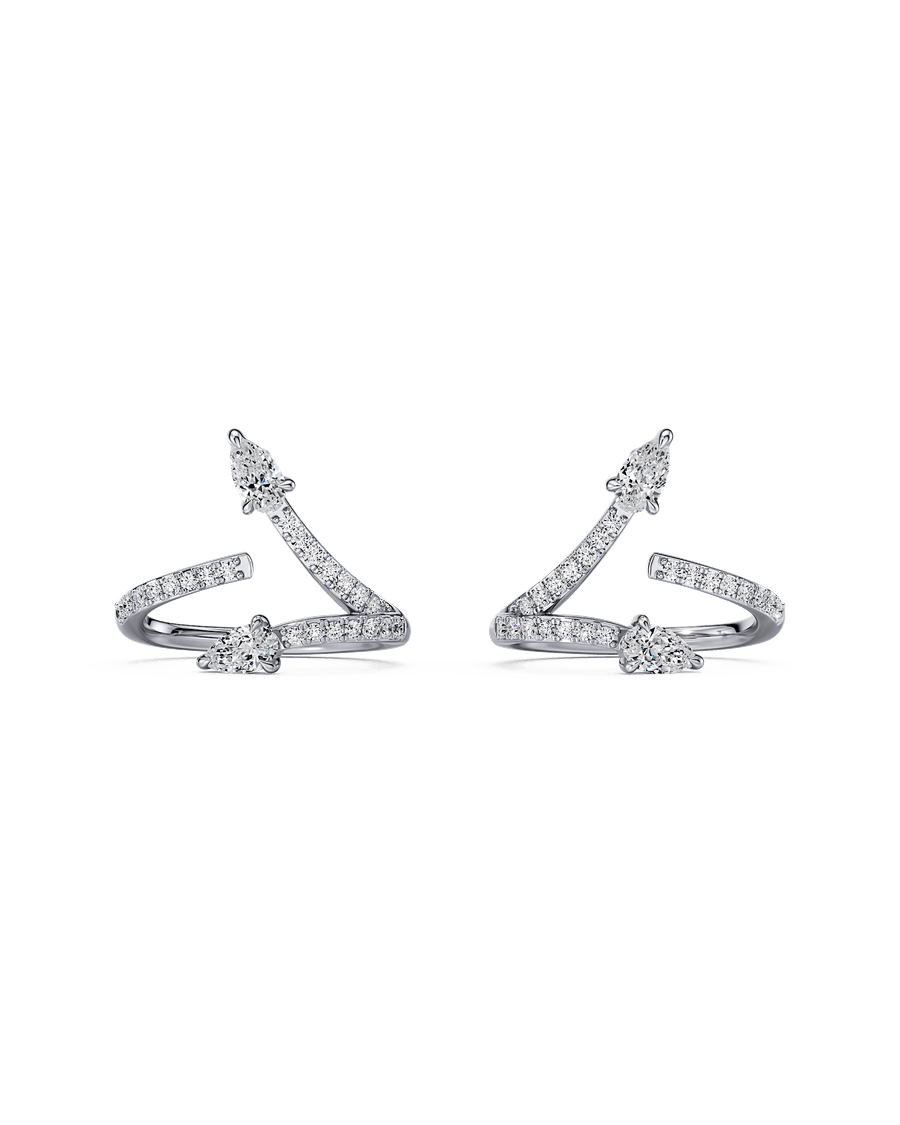 Twice As Nice Earrings