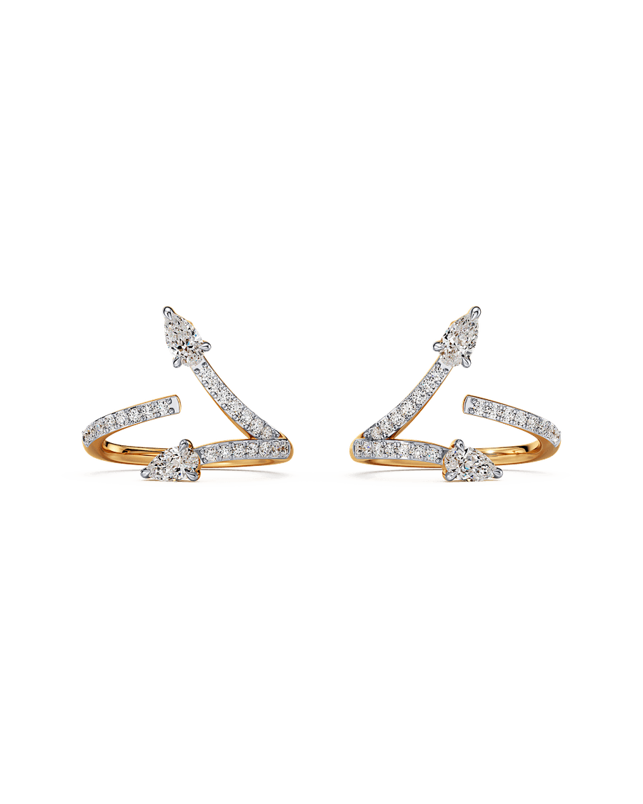 Twice As Nice Earrings