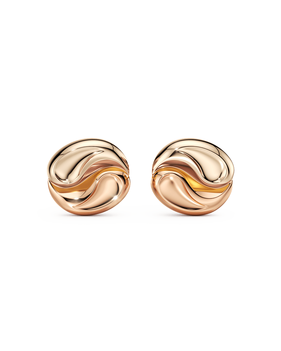 Full of Contradictions Earrings