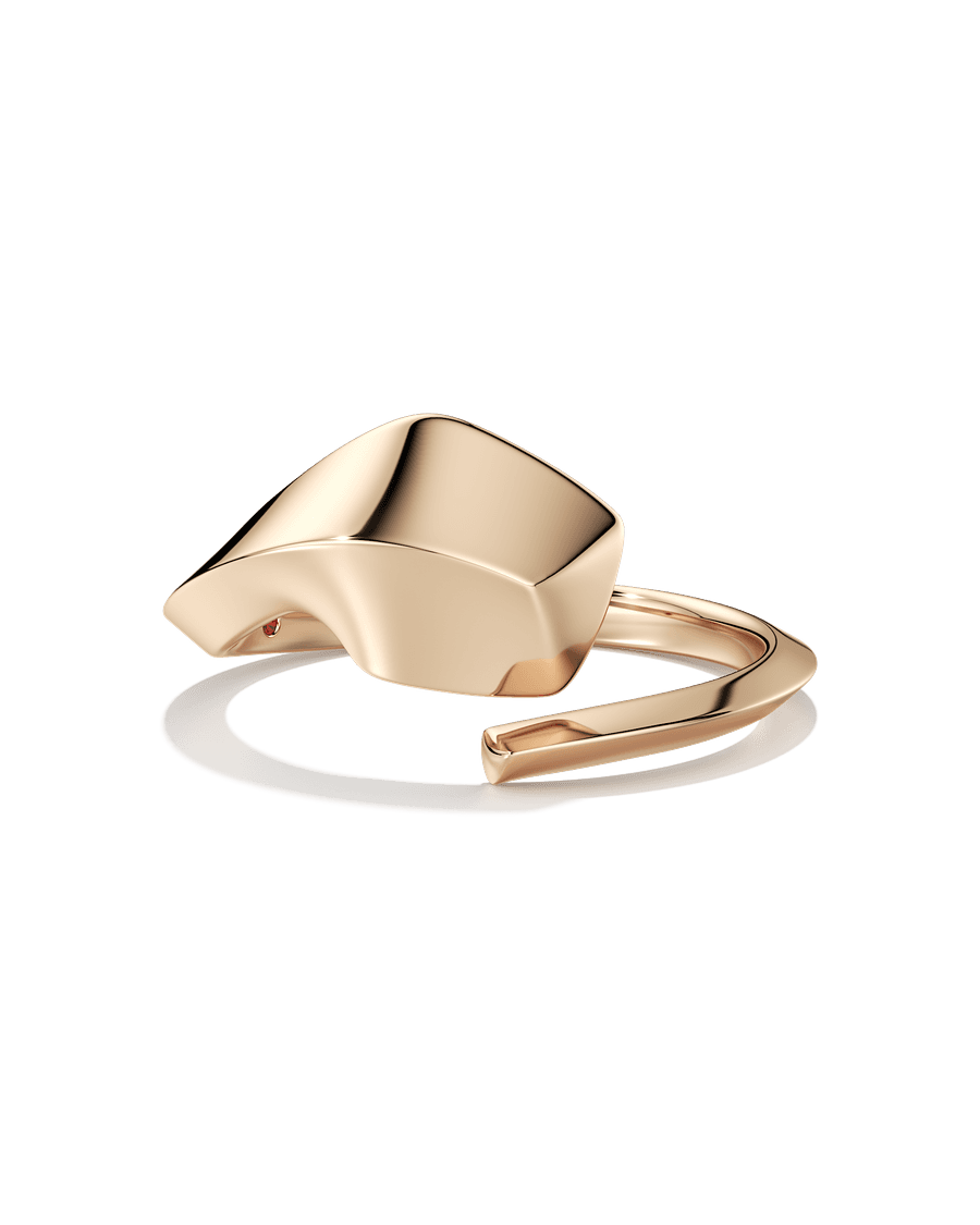 Unfinished Business Ring