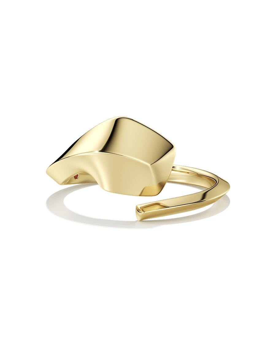 Unfinished Business Ring