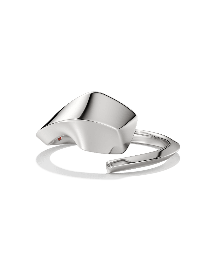 Unfinished Business Ring