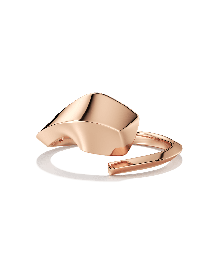 Unfinished Business Ring