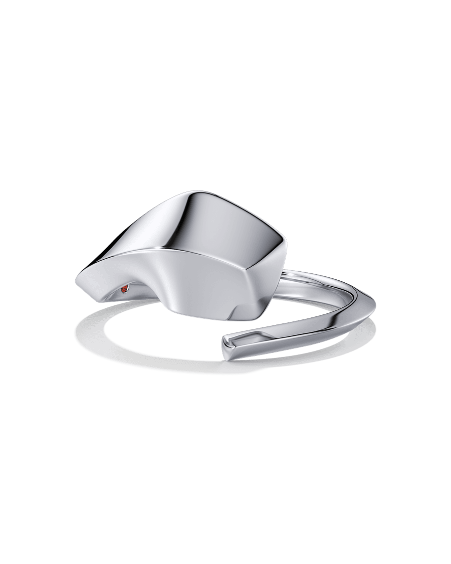 Unfinished Business Ring