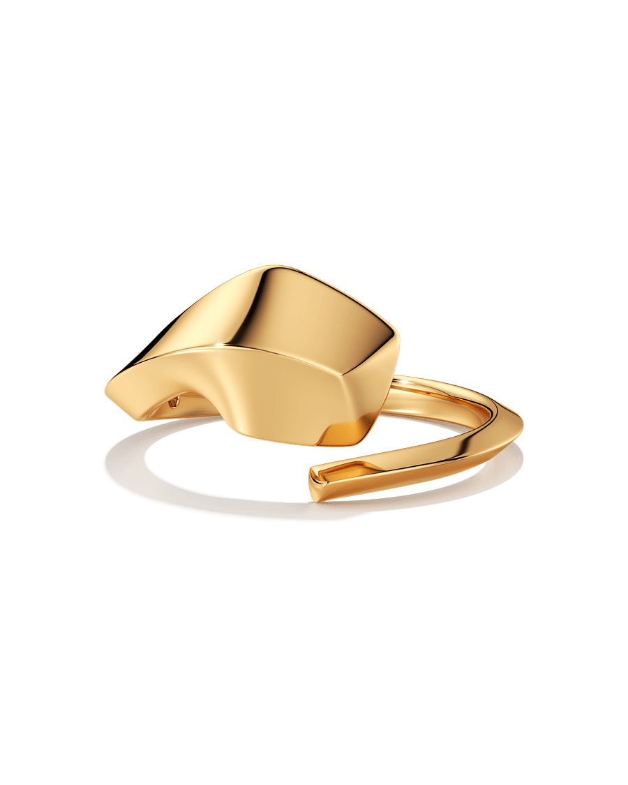 Unfinished Business Ring