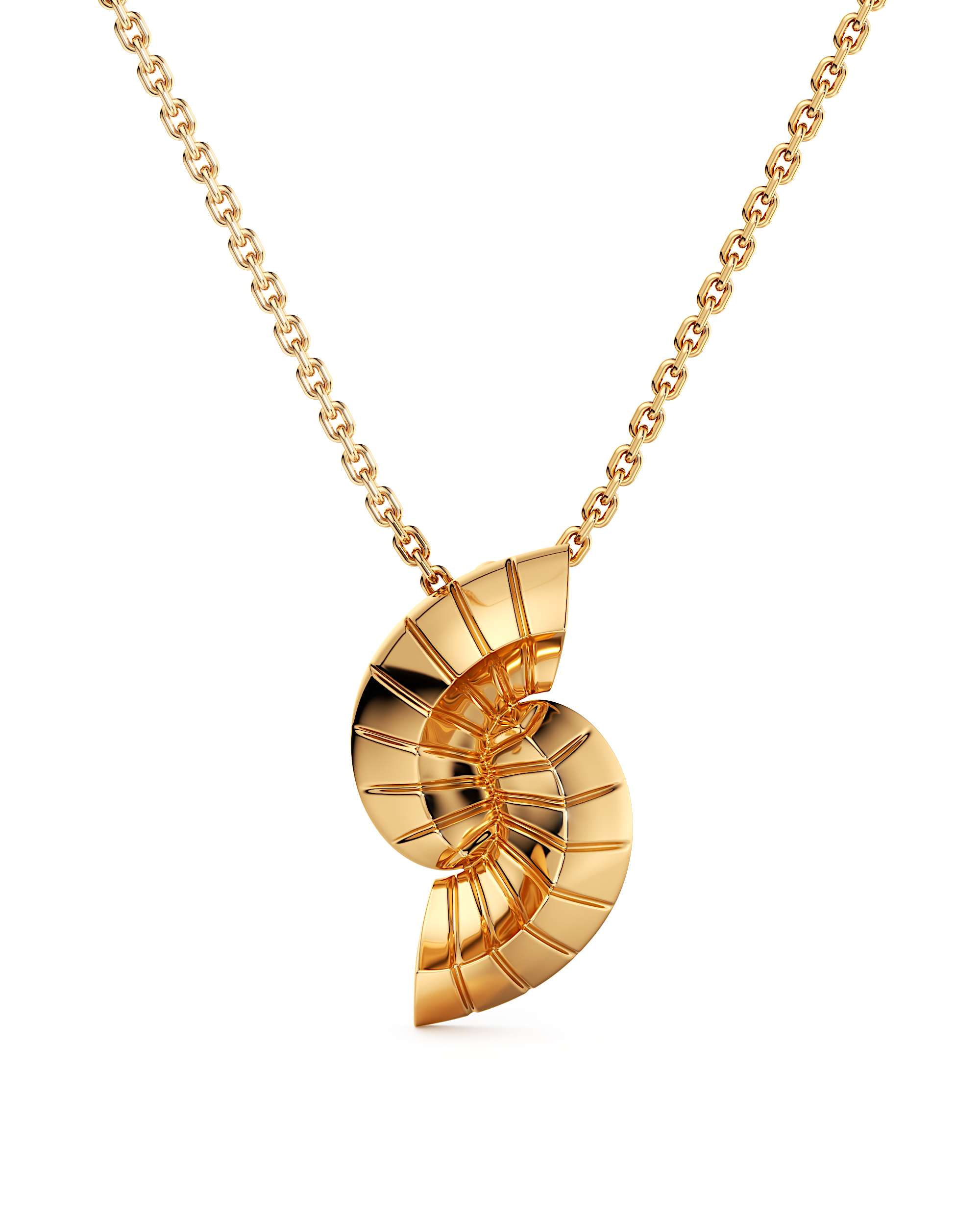Nautilus Swirl Pendant