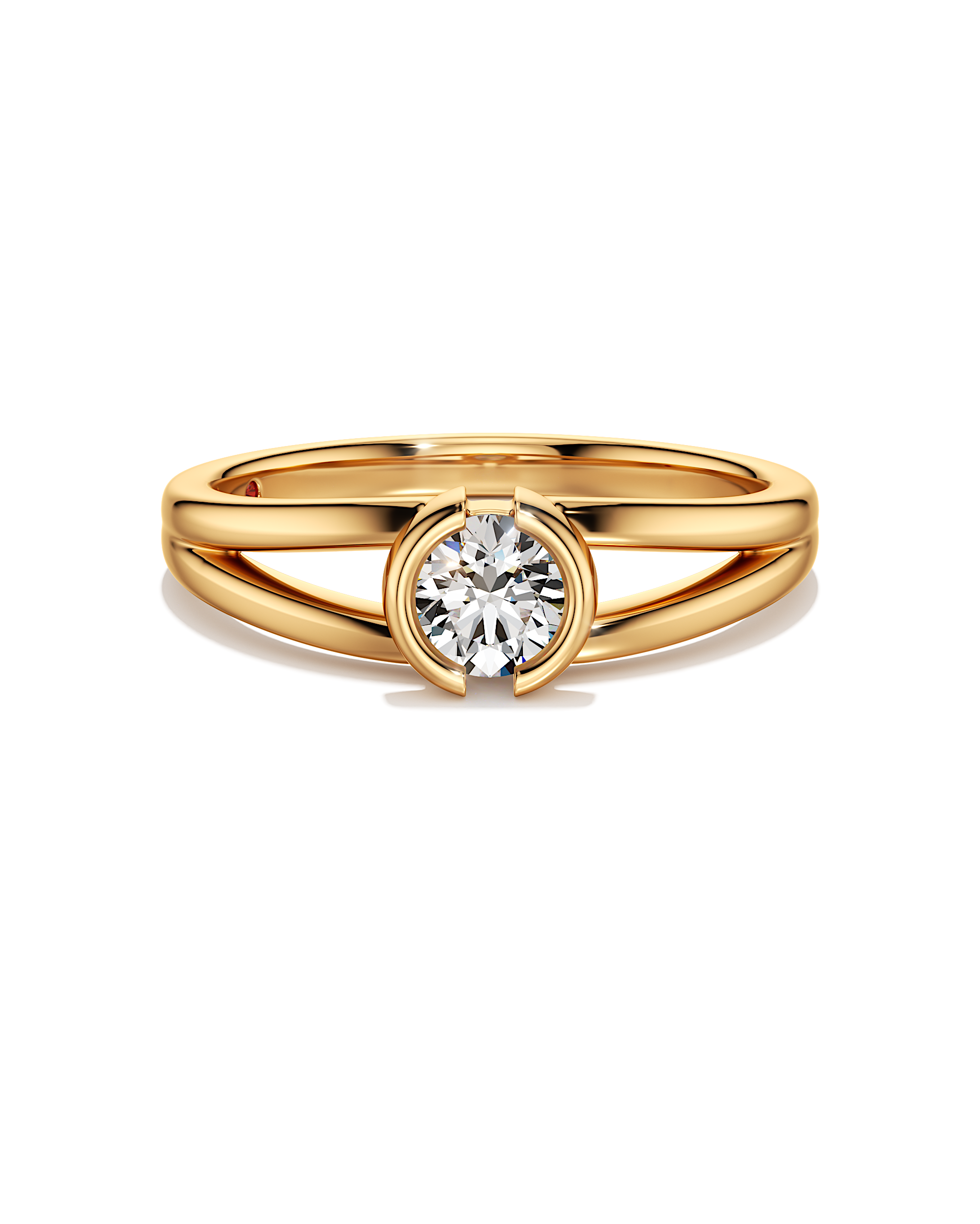 Born to Rule Ring