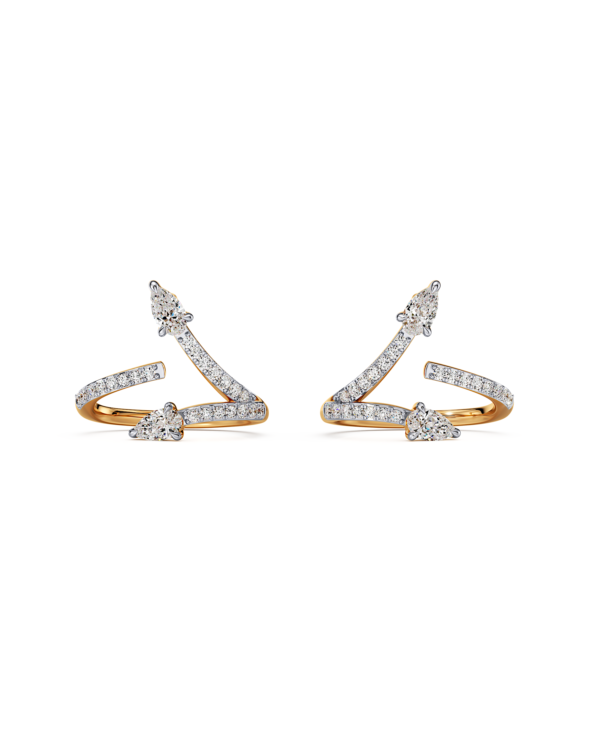Twice As Nice Earrings