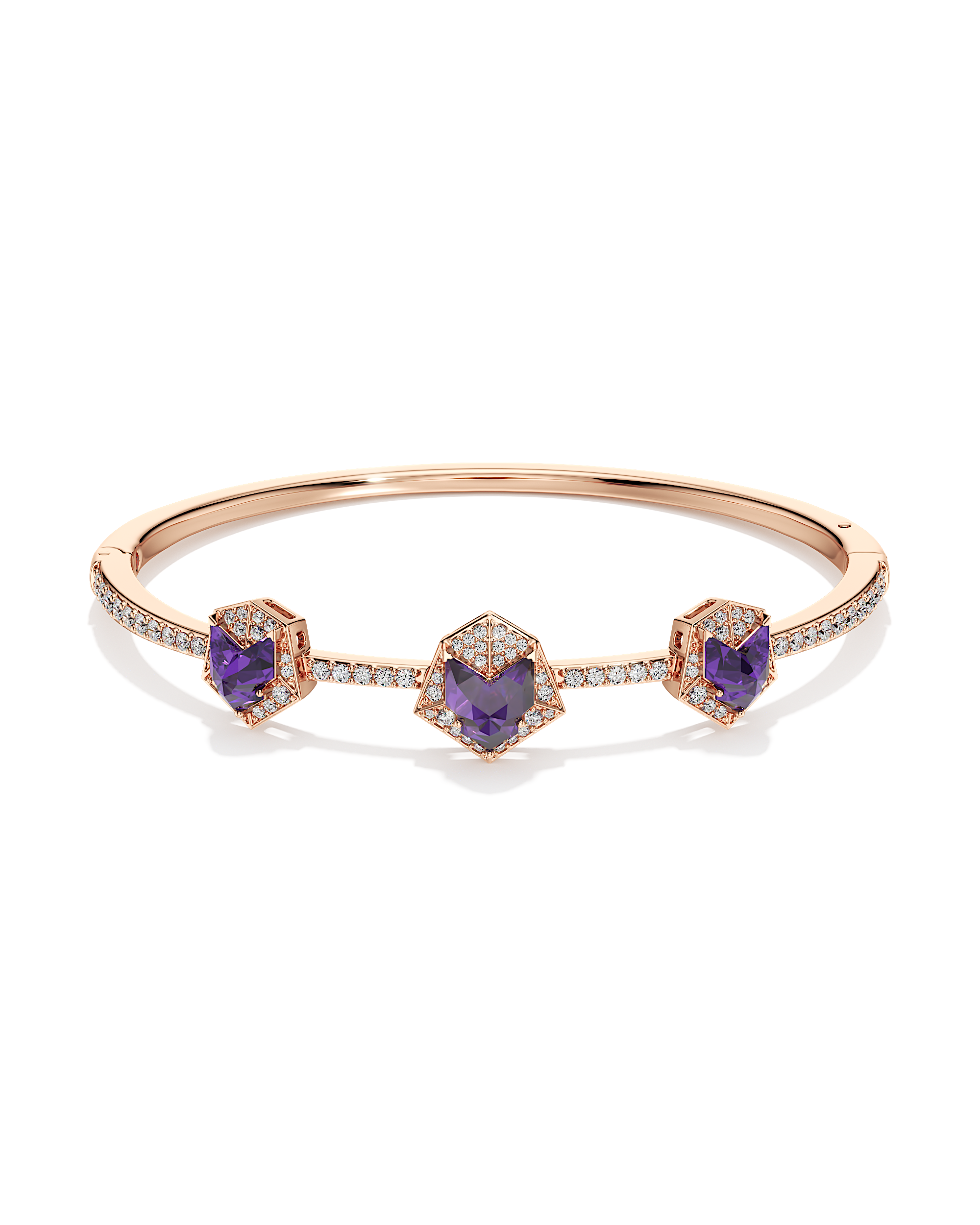 Wandering in the Wild Bangle